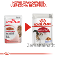 Royal Canin FHN Instinctive in jelly - drėgnas ėdalas suaugusioms katėms - 12x85g