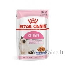 Royal Canin FHN Kitten Instinctive in sauce - drėgnas maistas kačiukams - 12x85g