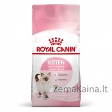 Royal Canin FHN Kitten - sausas kačiukų ėdalas - 4kg