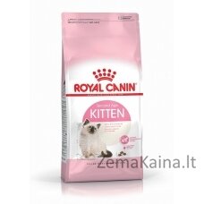 Royal Canin FHN Kitten - sausas kačiukų ėdalas - 4kg