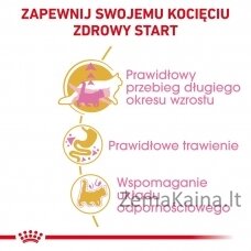 Royal Canin Maine Coon Kitten sausas kačių maistas 2 kg Kačiukas Paukštiena