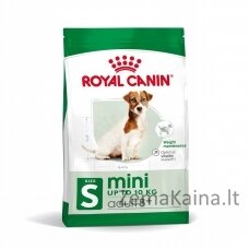 ROYAL CANIN Mini Adult +8 - sausas maistas šunims - 2kg