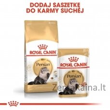 Royal Canin Persian Adult sausas kačių maistas 10 kg Paukštiena, Ryžiai, Daržovių