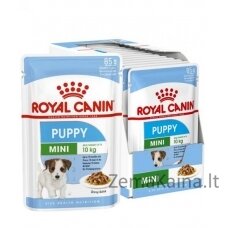 ROYAL CANIN SHN Mini Puppy in sauce - drėgnas maistas šuniukams - 12X85g