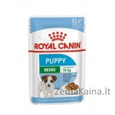 ROYAL CANIN SHN Mini Puppy in sauce - drėgnas maistas šuniukams - 12X85g