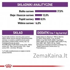 Royal Canin Sterilised 37 sausas kačių maistas Suaugusiems 10 kg