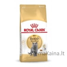 Royal Canin British Shorthair Adult sausas kačių maistas 4 kg