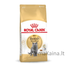 Royal Canin FBN British Shorthair Adult - sausas kačių maistas - 10kg