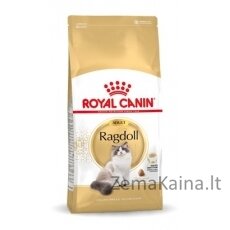 Royal Canin FBN Ragdoll Adult sausas kačių maistas 2 kg