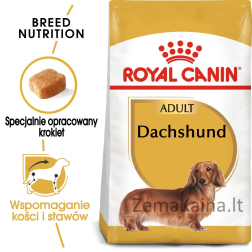 Royal Canin BHN Dachshund Adult - sausas pašaras suaugusiems šunims - 1,5 kg