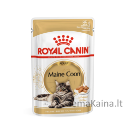 ROYAL CANIN FBN Maine Coon - Šlapias maistas katėms - paketėlis 12x 85g