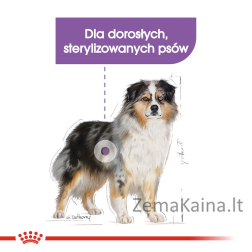 ROYAL CANIN Medium Sterilizuotas sausas maistas šunims - 3 kg