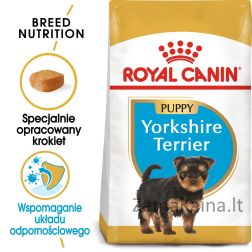 Royal Canin Yorkshire Terrier Junior Šuniukas Paukštiena, Ryžiai 1,5 kg