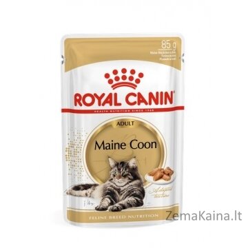 Royal Canin FBN Maine Coon - Šlapias maistas katėms - paketėlis 12x 85g 3