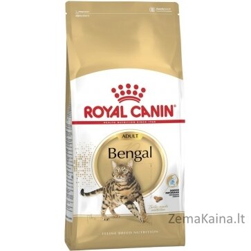 Royal Canin FBN Bengal Adult - sausas kačių maistas - 10kg