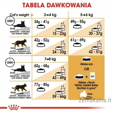 Royal Canin British Shorthair Adult sausas kačių maistas 4 kg 7