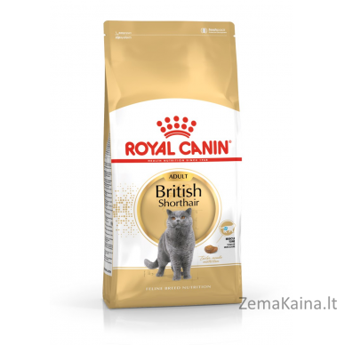 Royal Canin British Shorthair Adult sausas kačių maistas 4 kg 1