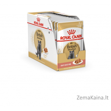 ROYAL CANIN British Shorthair pakuotė 12x85g 3