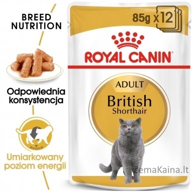 ROYAL CANIN British Shorthair pakuotė 12x85g 4