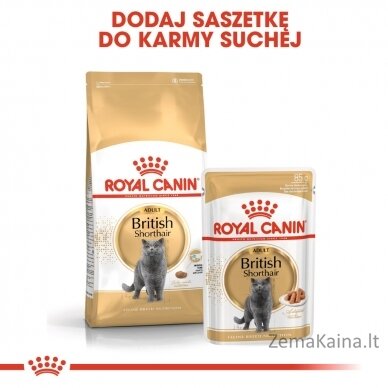 ROYAL CANIN British Shorthair pakuotė 12x85g 10