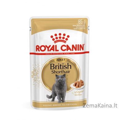 ROYAL CANIN British Shorthair pakuotė 12x85g 2