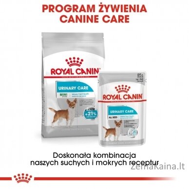 Royal Canin CCN Urinary Care Loaf - drėgnas ėdalas suaugusiems šunims - 12x85g 6