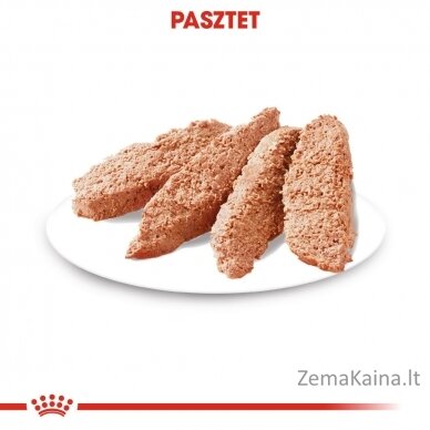 ROYAL CANIN Dermacomfort Care Šlapias maistas šunims Paštetas 12x85 g 8