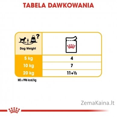 ROYAL CANIN Dermacomfort Care Šlapias maistas šunims Paštetas 12x85 g 4