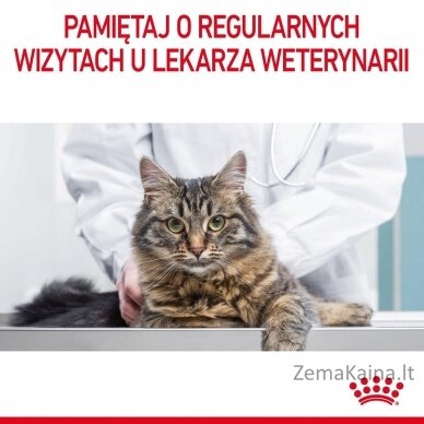 Royal Canin Digestive Care sausas kačių maistas Žuvis, Paukštiena, Ryžiai, Daržovių 0,4kg 11