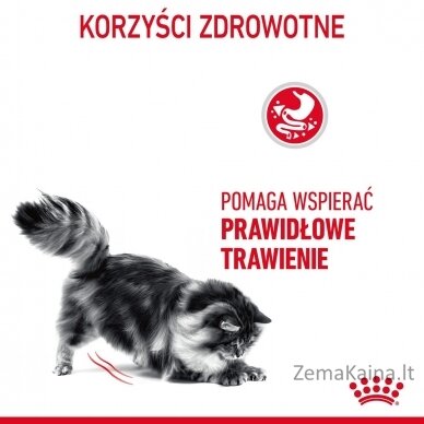 Royal Canin Digestive Care sausas kačių maistas Žuvis, Paukštiena, Ryžiai, Daržovių 0,4kg 13