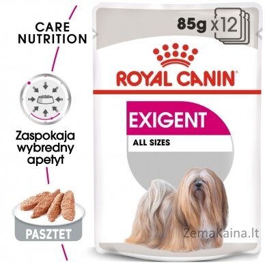 ROYAL CANIN Exigent Šlapias maistas šunims Paštetas 12x85 g 3