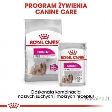 ROYAL CANIN Exigent Šlapias maistas šunims Paštetas 12x85 g 6