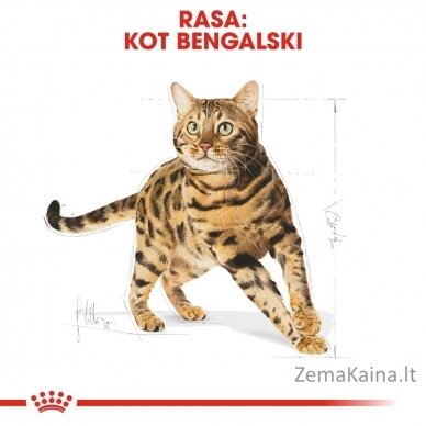 Royal Canin FBN Bengal Adult - sausas kačių maistas - 10kg 5