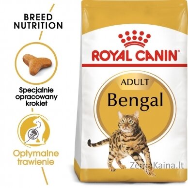 Royal Canin FBN Bengal Adult - sausas kačių maistas - 10kg 3