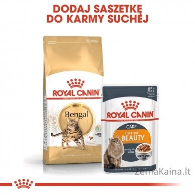 Royal Canin FBN Bengal Adult - sausas kačių maistas - 10kg 7