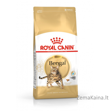 Royal Canin FBN Bengal Adult - sausas kačių maistas - 10kg 1