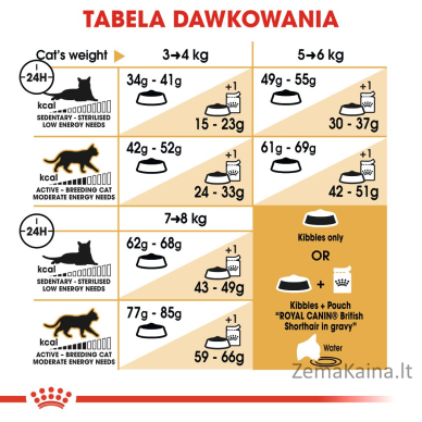 Royal Canin FBN British Shorthair Adult - sausas kačių maistas - 10kg 7