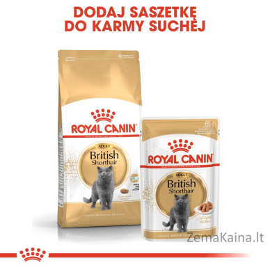 Royal Canin FBN British Shorthair Adult - sausas kačių maistas - 10kg 5