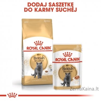 Royal Canin FBN British Shorthair Adult sausas kačių maistas 2 kg 5