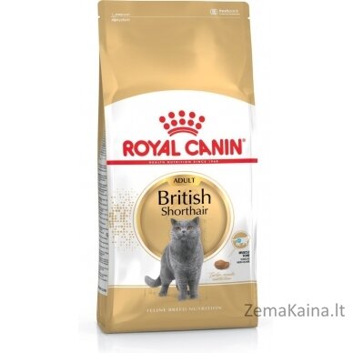 Royal Canin FBN British Shorthair Adult sausas kačių maistas 2 kg