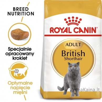 Royal Canin FBN British Shorthair Adult sausas kačių maistas 2 kg 7