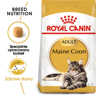 Royal Canin FBN Maine Coon Adult - sausas pašaras suaugusioms katėms - 10kg 6