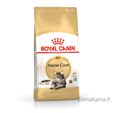 Royal Canin FBN Maine Coon Adult - sausas pašaras suaugusioms katėms - 10kg 1