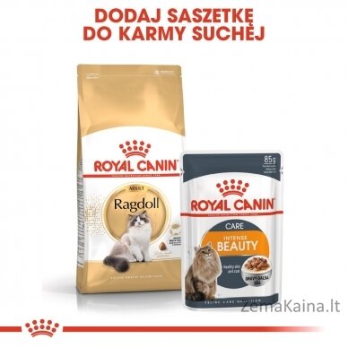 Royal Canin FBN Ragdoll Adult sausas kačių maistas 0,4kg 5