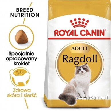 Royal Canin FBN Ragdoll Adult sausas kačių maistas 0,4kg 6