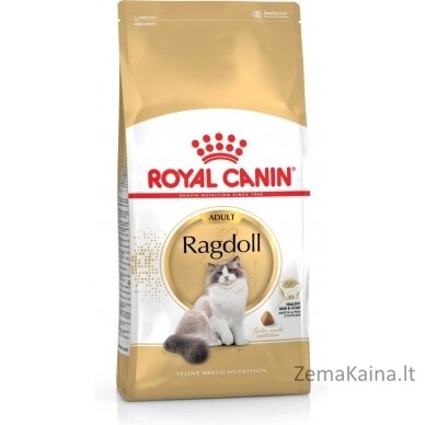 Royal Canin FBN Ragdoll Adult sausas kačių maistas 0,4kg