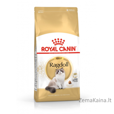 Royal Canin FBN Ragdoll Adult sausas kačių maistas 0,4kg 1