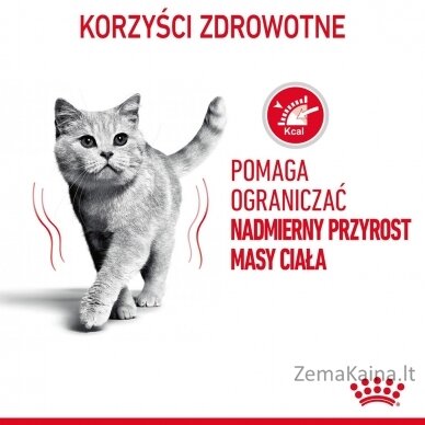 ROYAL CANIN FCN Light Weight Care in jelly - drėgnas ėdalas suaugusioms katėms - 12x85g 1