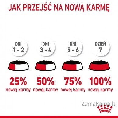 ROYAL CANIN FCN Light Weight Care in jelly - drėgnas ėdalas suaugusioms katėms - 12x85g 7