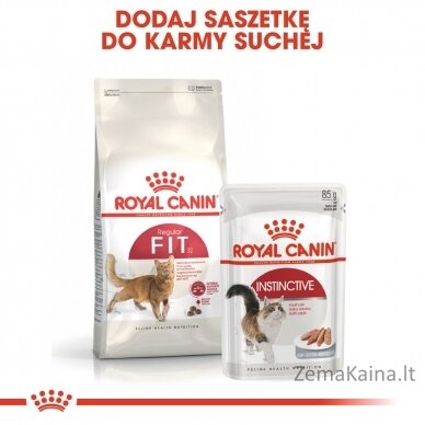 Royal Canin Feline Fit 2kg sausas kačių maistas Suaugusių 2